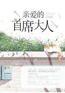 親愛的首席大人