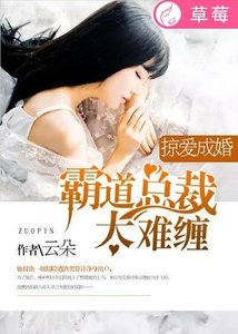 掠爱成婚:霸道总裁太难缠