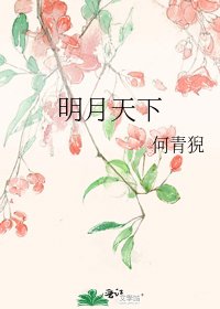 明月天下